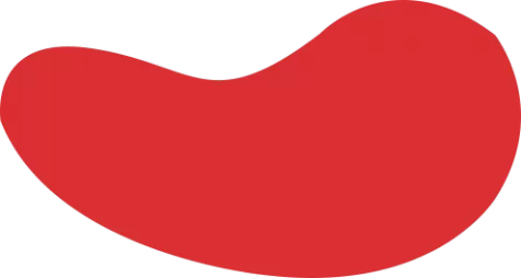 首页--雷竞技(RAYBET)-雷竞技官网下注|注册DOTA2,LOL,CSGO电竞及体育赛事竞猜 - 